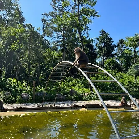 In Den Bergen Apartment Stall