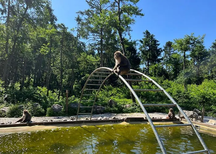 In Den Bergen Apartament Stall