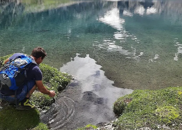 In Den Bergen Apartament